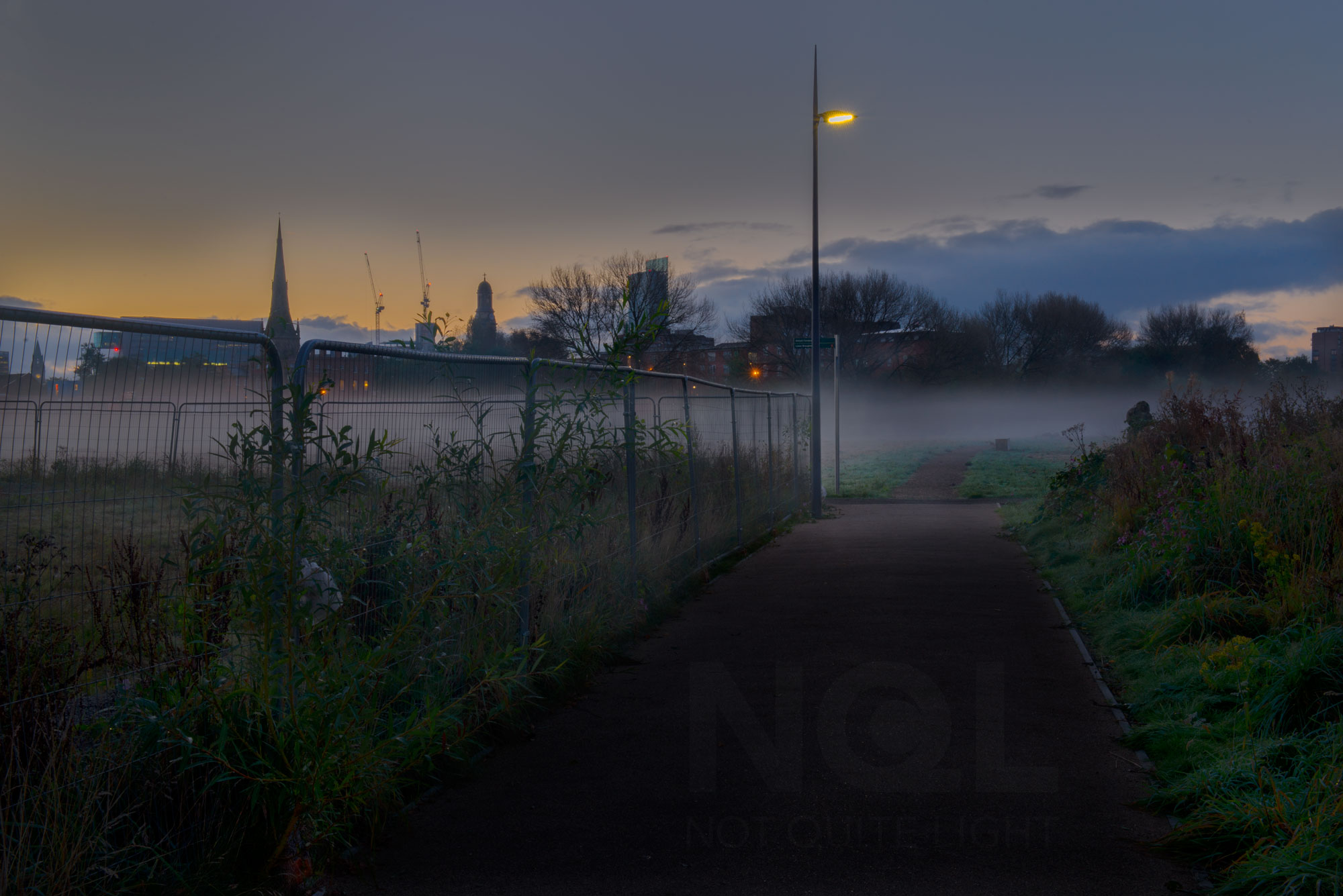 salford meadow at dawn