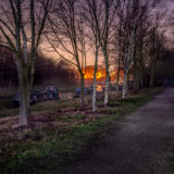 Bridgewater Canal Salford