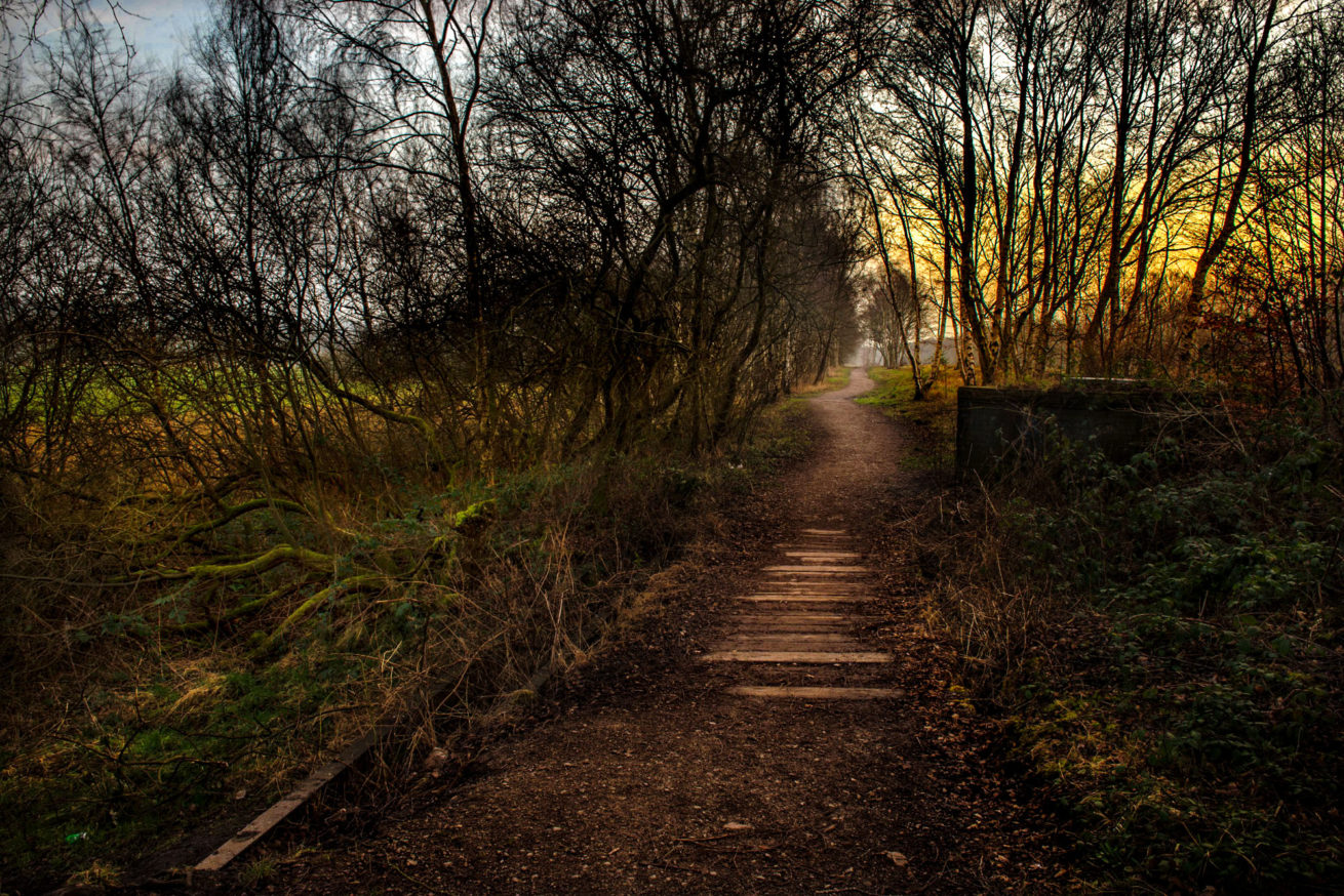 Bridgewater Canal Salford
