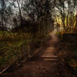 Bridgewater Canal Salford