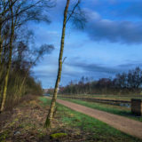 bridgewater canal boothstown winter